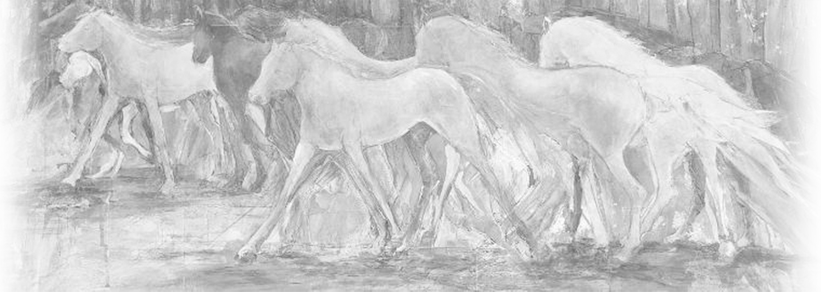 Audio Horse Books
